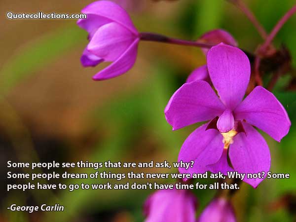 George Carlin Quotes2